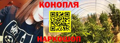 a pvp Ставрополь