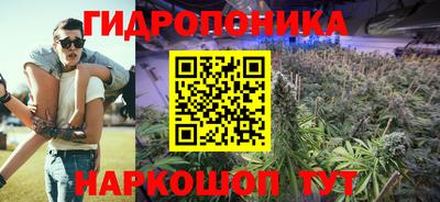 a pvp Ставрополь