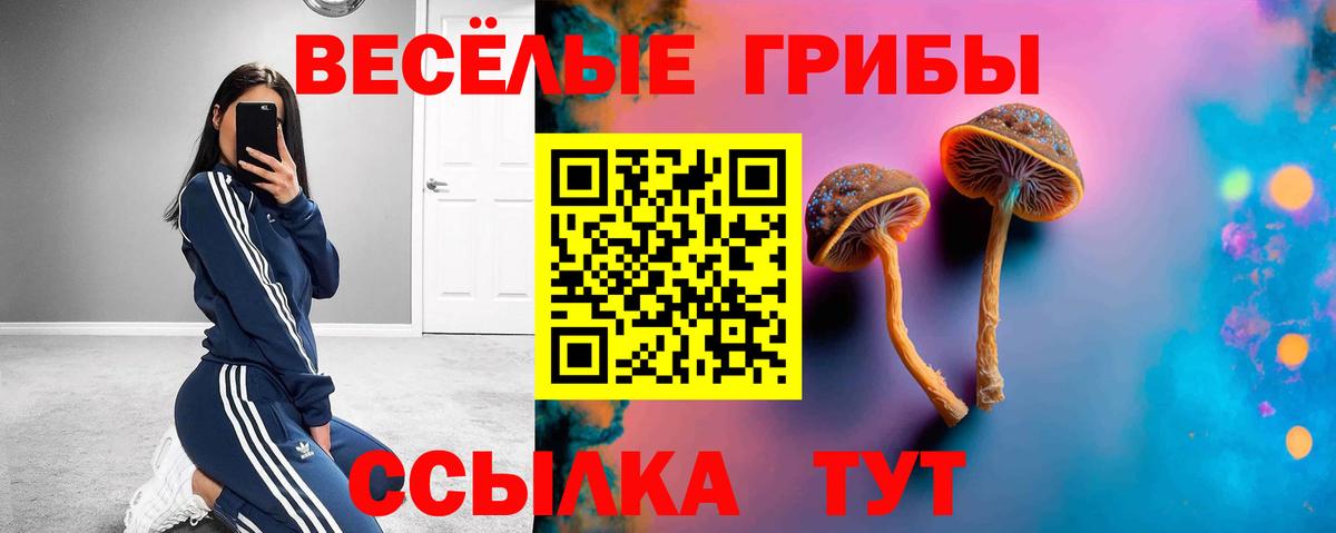 как найти   Галлюциногенные грибы Psilocybe  Вход с VPN  Ногинск 